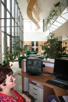 Image Image