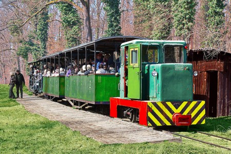 Image Image