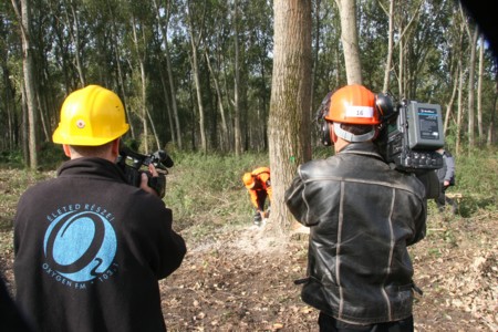 Image Image