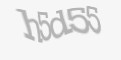 Biztonsági kód